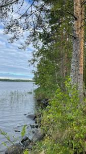 Onegowelcome.ru - 27