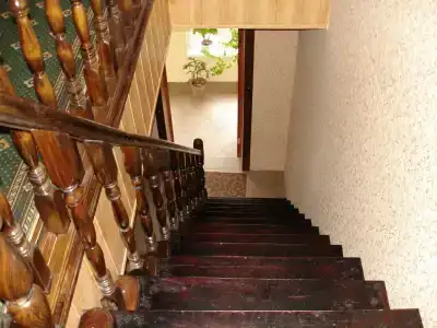 Сосны - 46