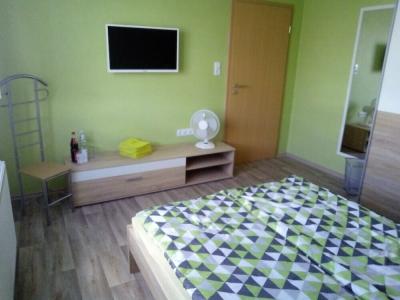Pension zum Ringelberg - 35