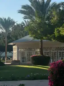Desert Rose Resort - 33
