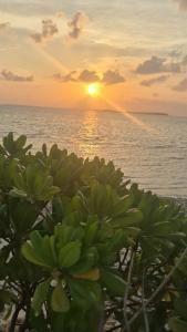 Rahaa Resort - 47