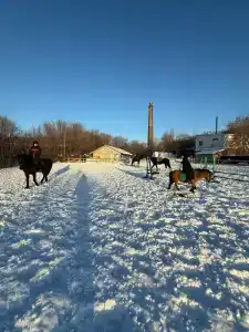 Кон Брио - 0