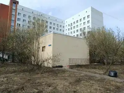 Сплав - 8