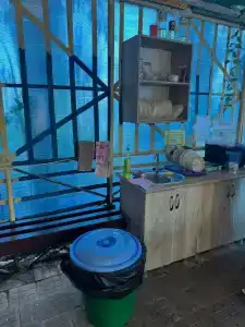 Платан - 39