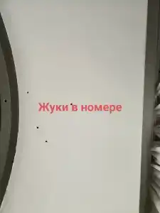 Казачий К - 55