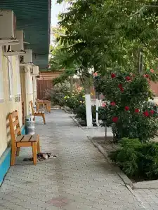 Атлантик - 9