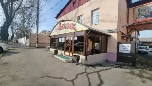 Ассоль - 4