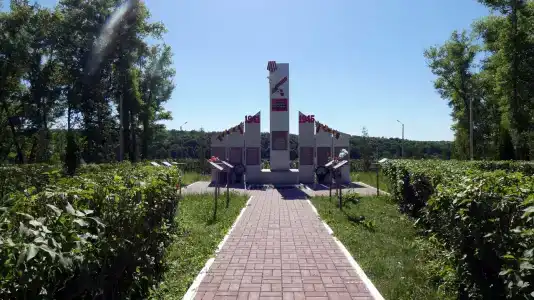 Товарково - 49