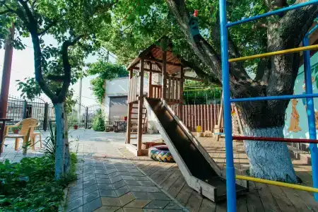 Три берёзки - 8