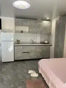 Афина - 19