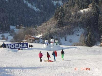 Stella Alpina - 19