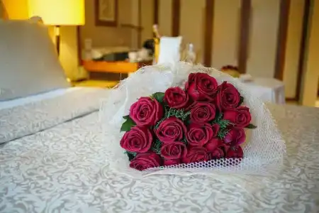 Almira Thermal Spa & Convention Center - 9