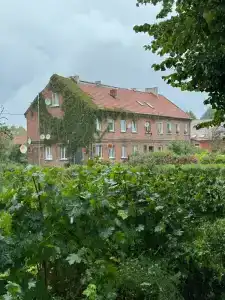 Palmnicken - 46