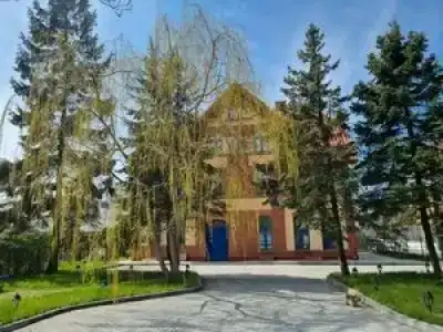 Palmnicken - 45