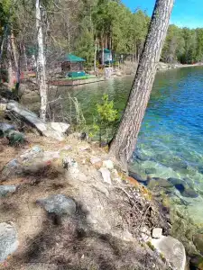 Зеленый бор - 3