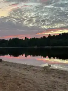Magic River - 19