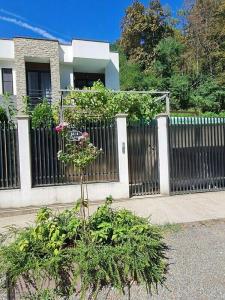 Vart house - 25
