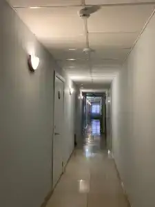 Сафари - 4