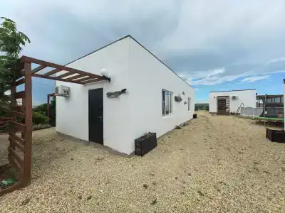 Добрый кит - 12