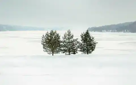 Сатурн - 23