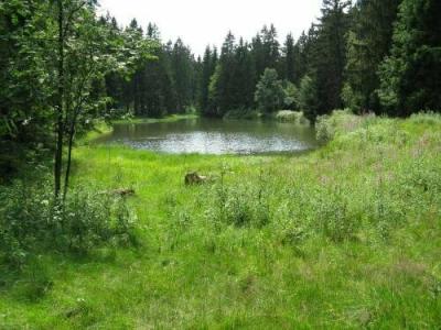 Bio-Zum Forsthaus - 6