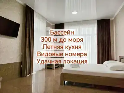 Чайка - 1