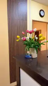 Провинция - 23