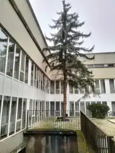 Ленинград - 42