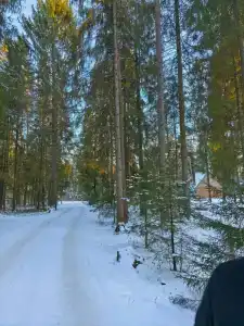 Конни - 30