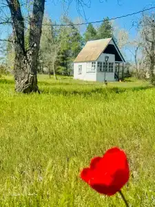 Юбилейная - 6