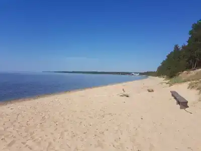 Онежский петроглиф - 30