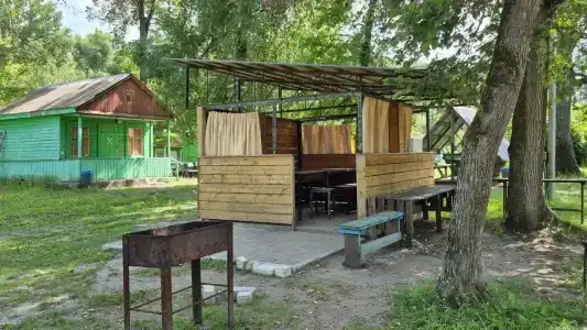 Зеленая роща - 31