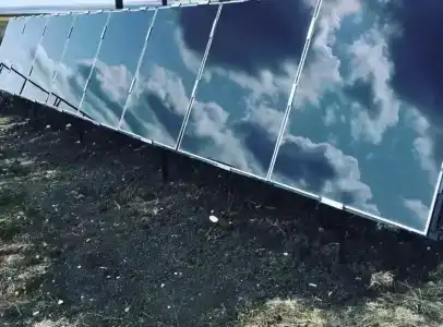 Фридом Веселовка - 10