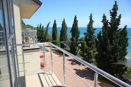 Багира - 50