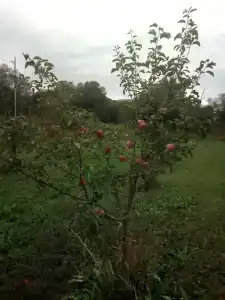 Ривьера - 16