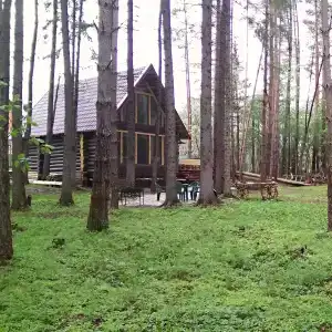 СмородинаХаус - 30