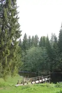Шуя Новгу - 20
