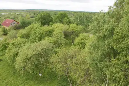НовГУ - 15
