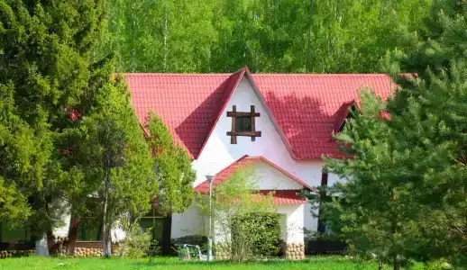 Подсолнухи - 0