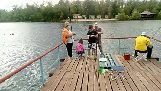 Бодрость - 26