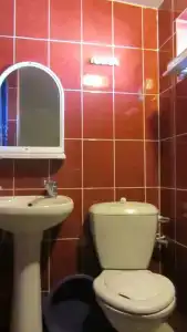 Розовый фламинго - 11