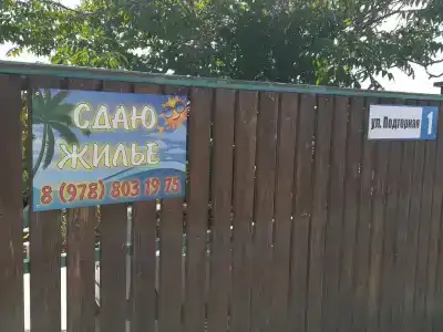 Кактус - 18