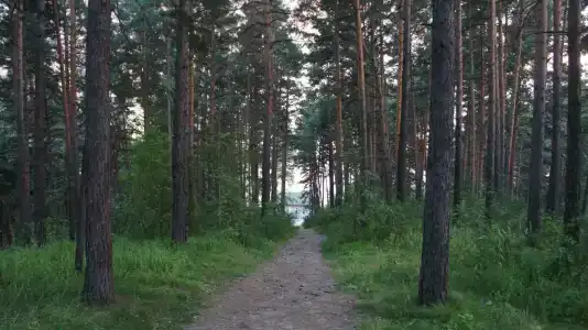 Абажур - 15
