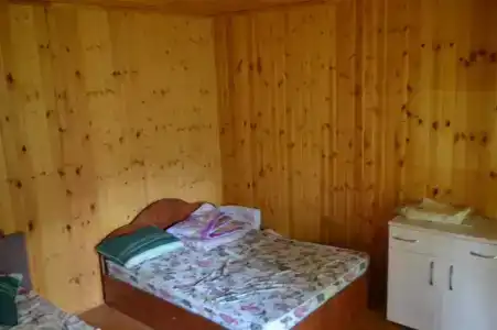 Светлячок - 28