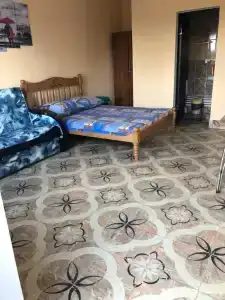 Эмиль - 43