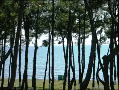 Villa Reta & Spa - 51