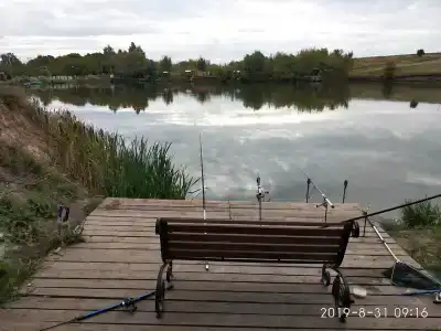 Левада - 47