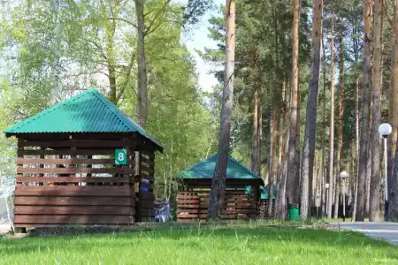 Лесная Быль - 19