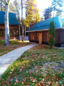 Лесной дом - 52