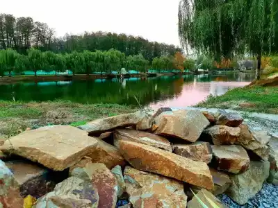 Макарди - 5